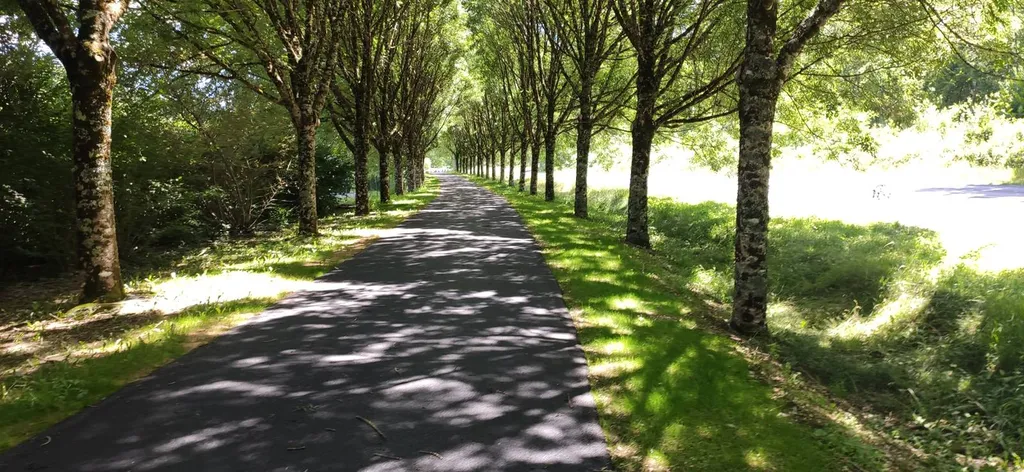 Maitrise d'œuvre voie verte aménagements paysagers et développement durable