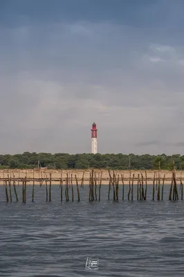 Les Carnets de Vacances d'Aurélia - Bassin d'Arcachon