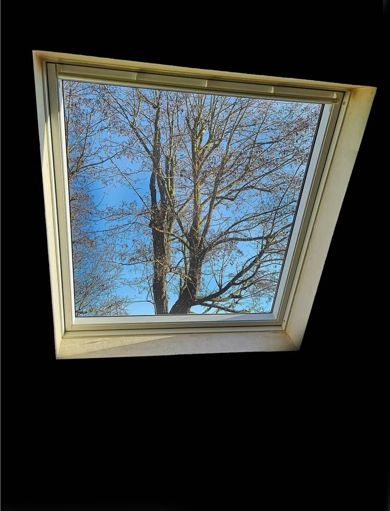 Intervention experte pour la pose de fenêtres de toit Velux à Créteil afin d'améliorer l'isolation thermique