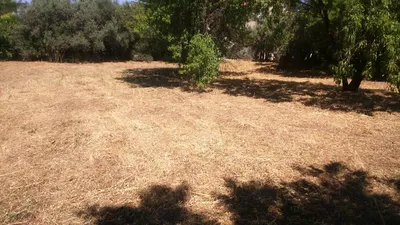 entretien debroussaillage tarrain marseille