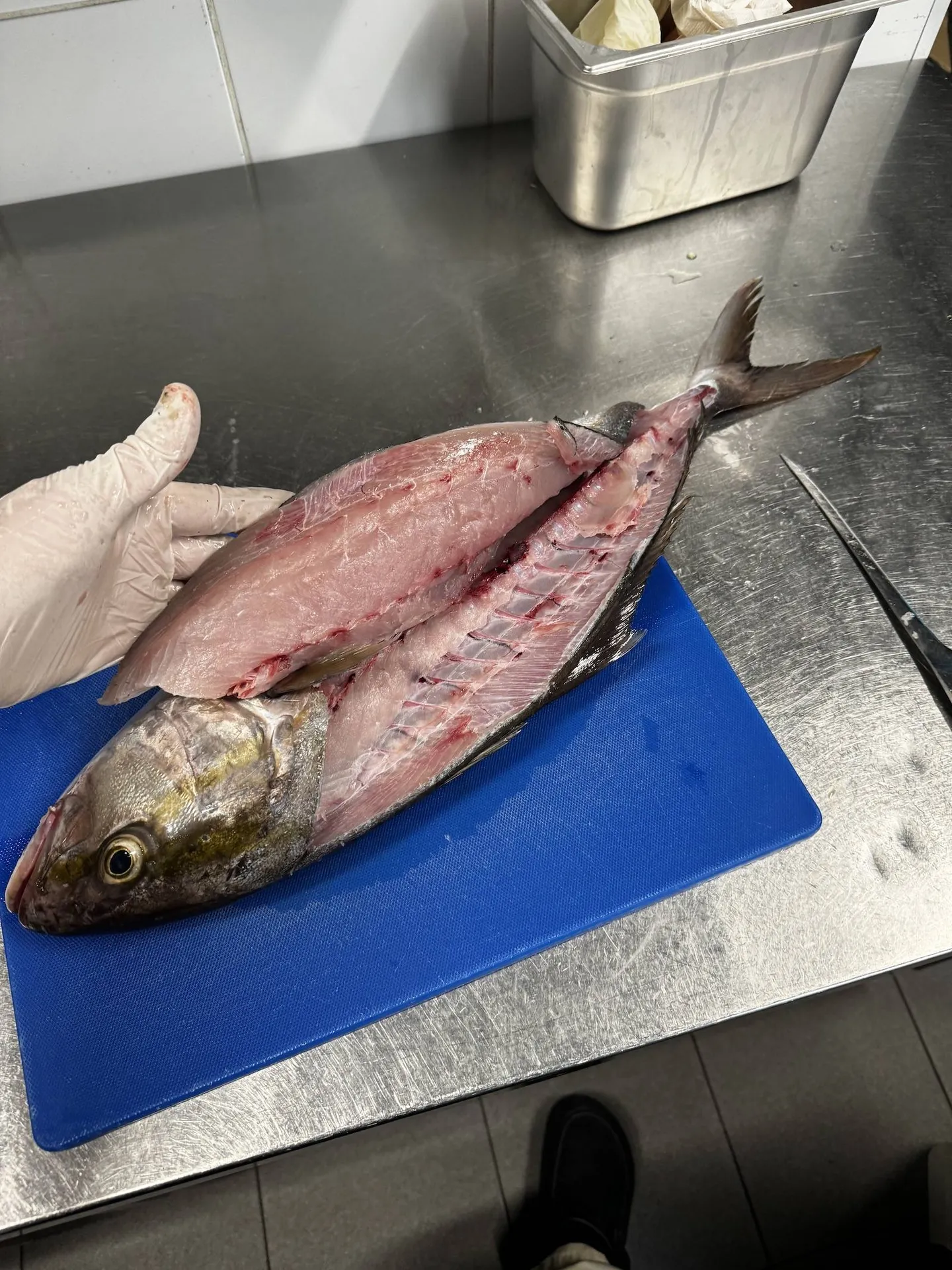 La Chronique de la Semaine n°5 - Le Filet de Sériole d'Aurélien Nourry