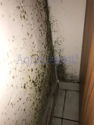 Problème d'humidité et de salpêtre dans un appartement à MARSEILLE