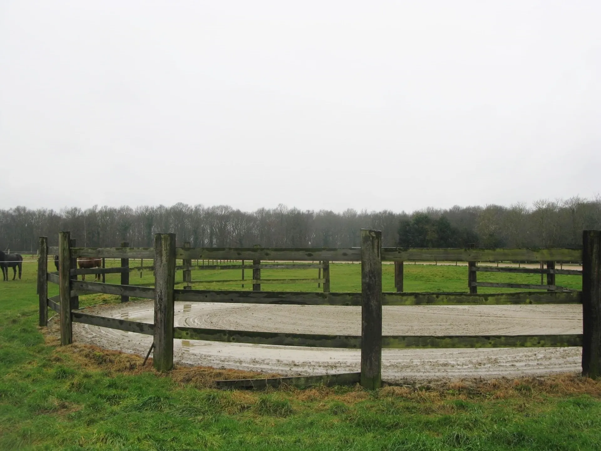 HARAS A VENDRE AVEC PISTE D'ENTRAINEMENT, PROCHE LISIEUX, CALVADOS 14