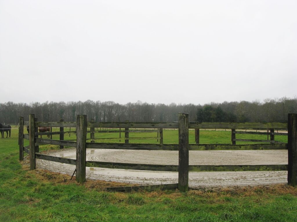 HARAS A VENDRE AVEC PISTE D'ENTRAINEMENT, PROCHE LISIEUX, CALVADOS 14