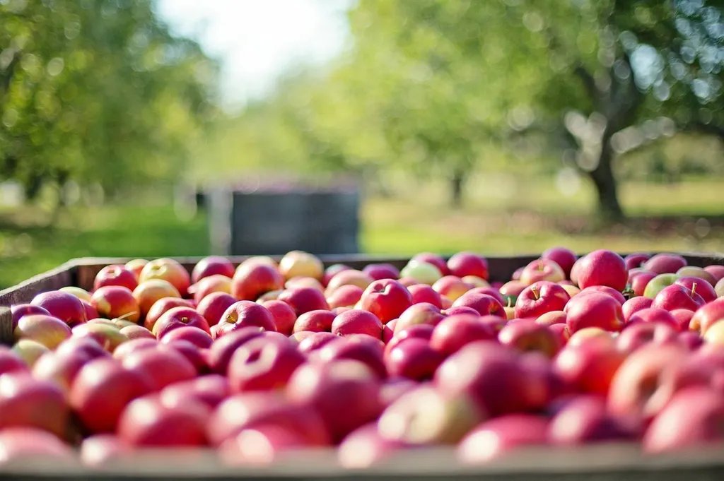 Transporteur de fruits et légumes en express sur toute l'Europe