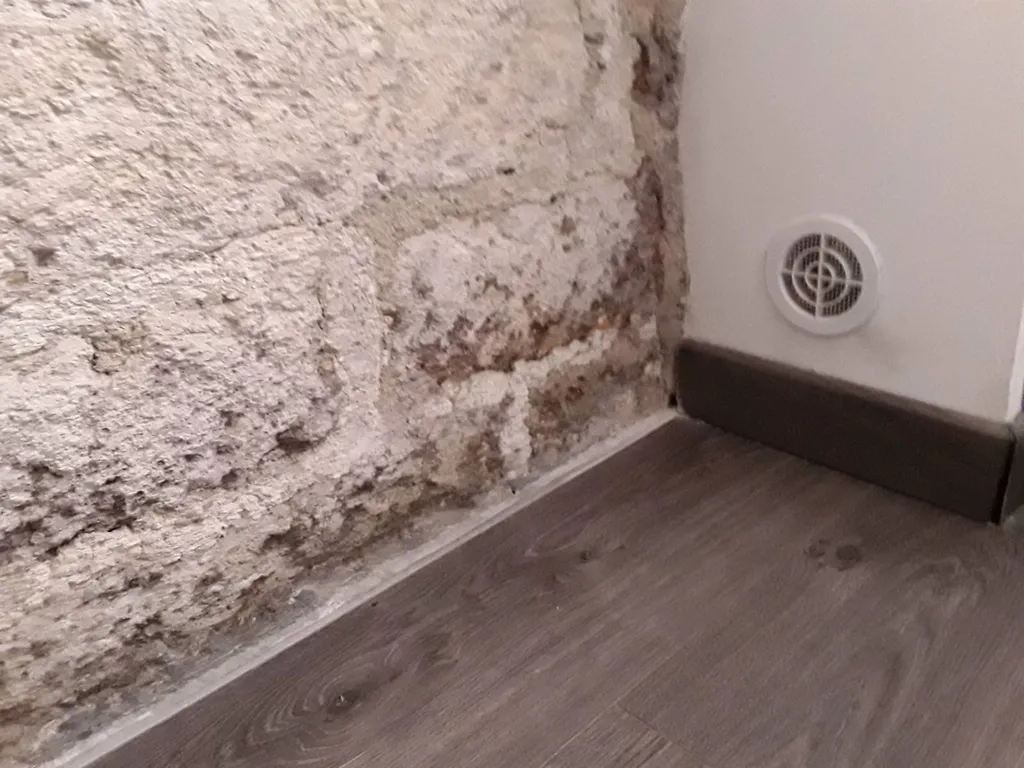 Comment supprimer l’humidité des murs par remontées capillaires avec moisissures noires et franges blanches de salpêtre.