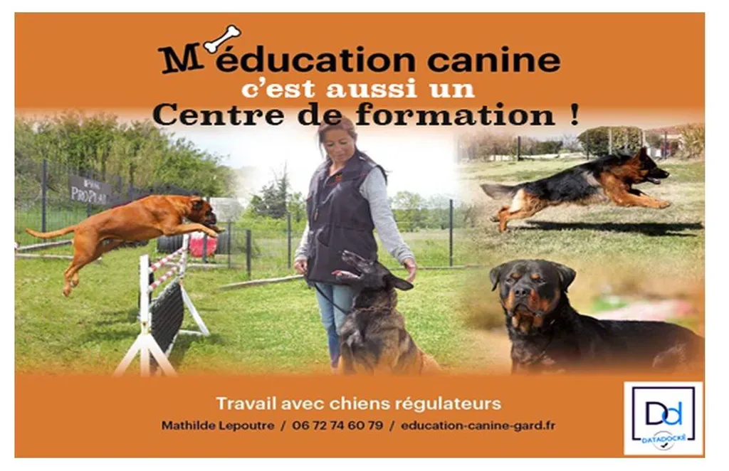 M'éducation Canine