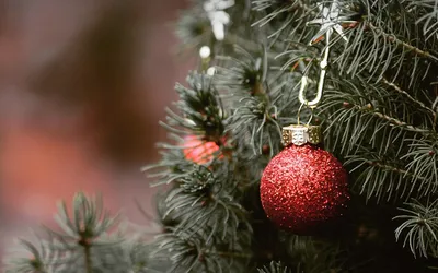 Organiser les fêtes de fin d'année pour son entreprise à Rouen en Normandie