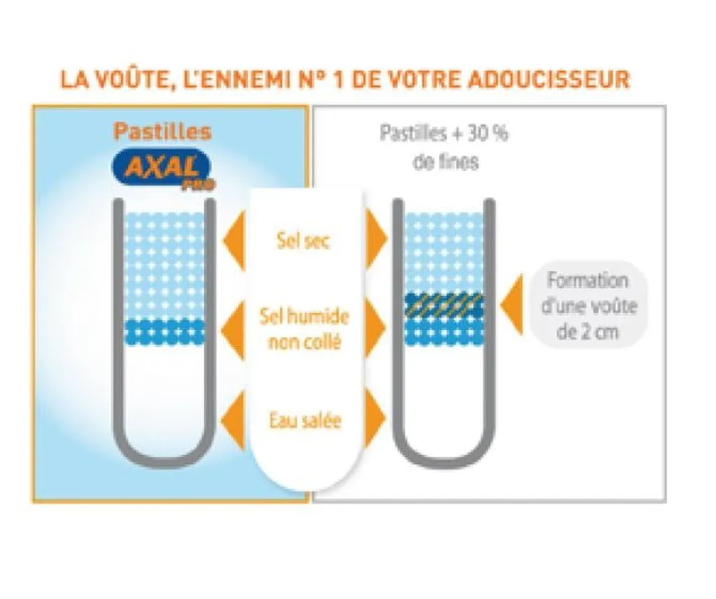 SEL EN PASTILLE AXAL PRO