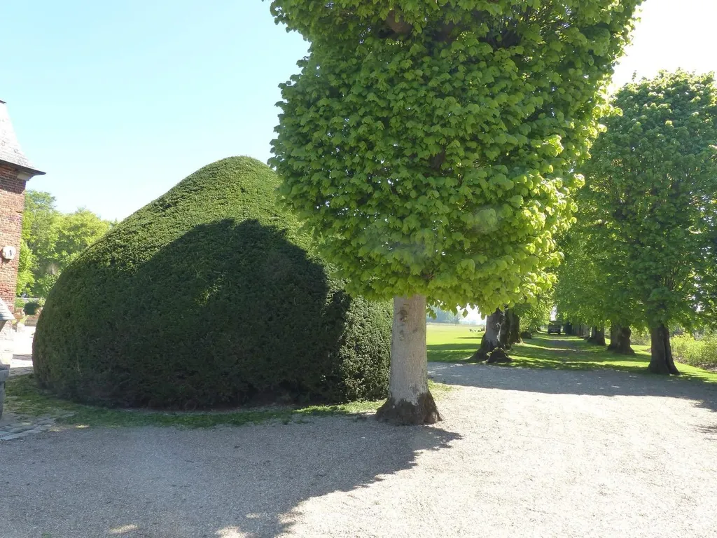 Jardinier service à la personne Fécamp : taille d'une haie avec ramassage pour des particuliers