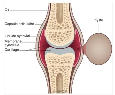 Docteur Julien Beldame, chirurgien orthopédiste, exclusif Pied Cheville, Fondateur de l'Institut de la Cheville et du Pied à Amiens (ICP Amiens), consulte à l'ICP Paris 