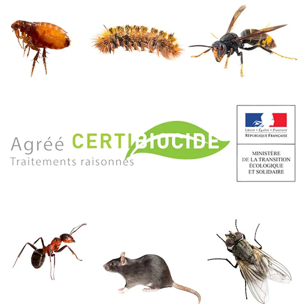 Expert de la lutte contre les nuisibles, au service des particuliers et des professionnels dans l’Ain, l’Isère et le Rhône