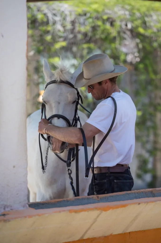balade a cheval en camargue