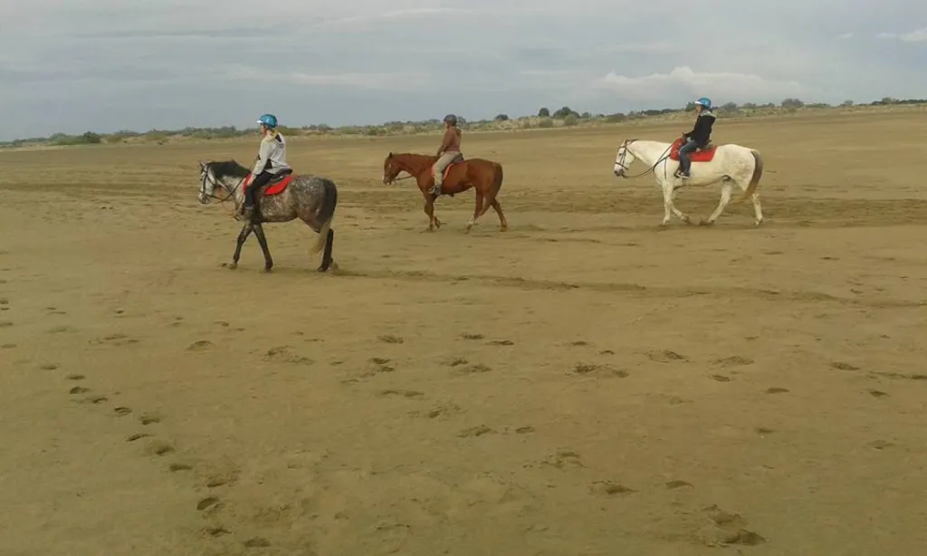 balade a cheval en groupe 
