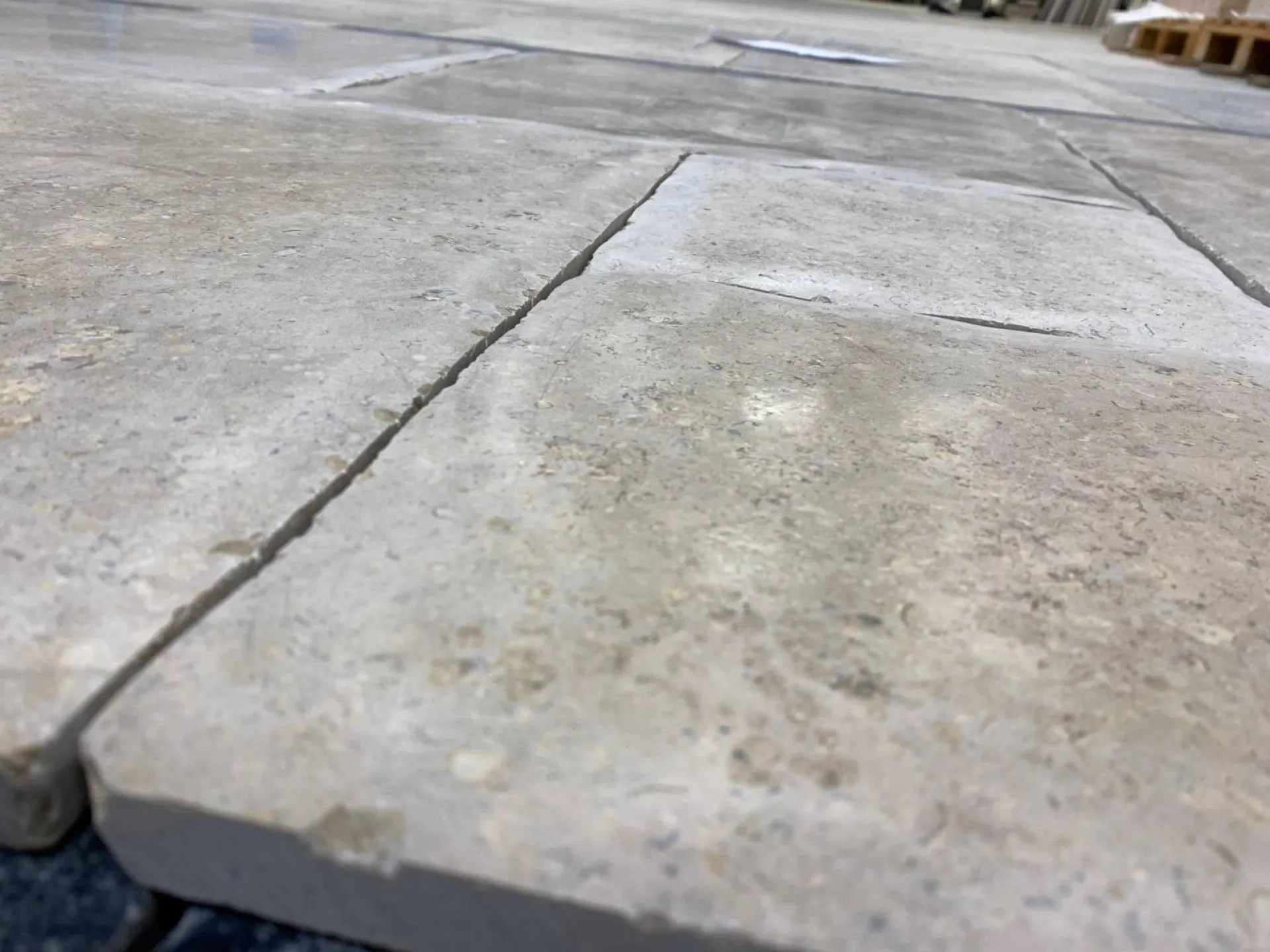 SINAI PEARL OPUS VIEILLI MAIN