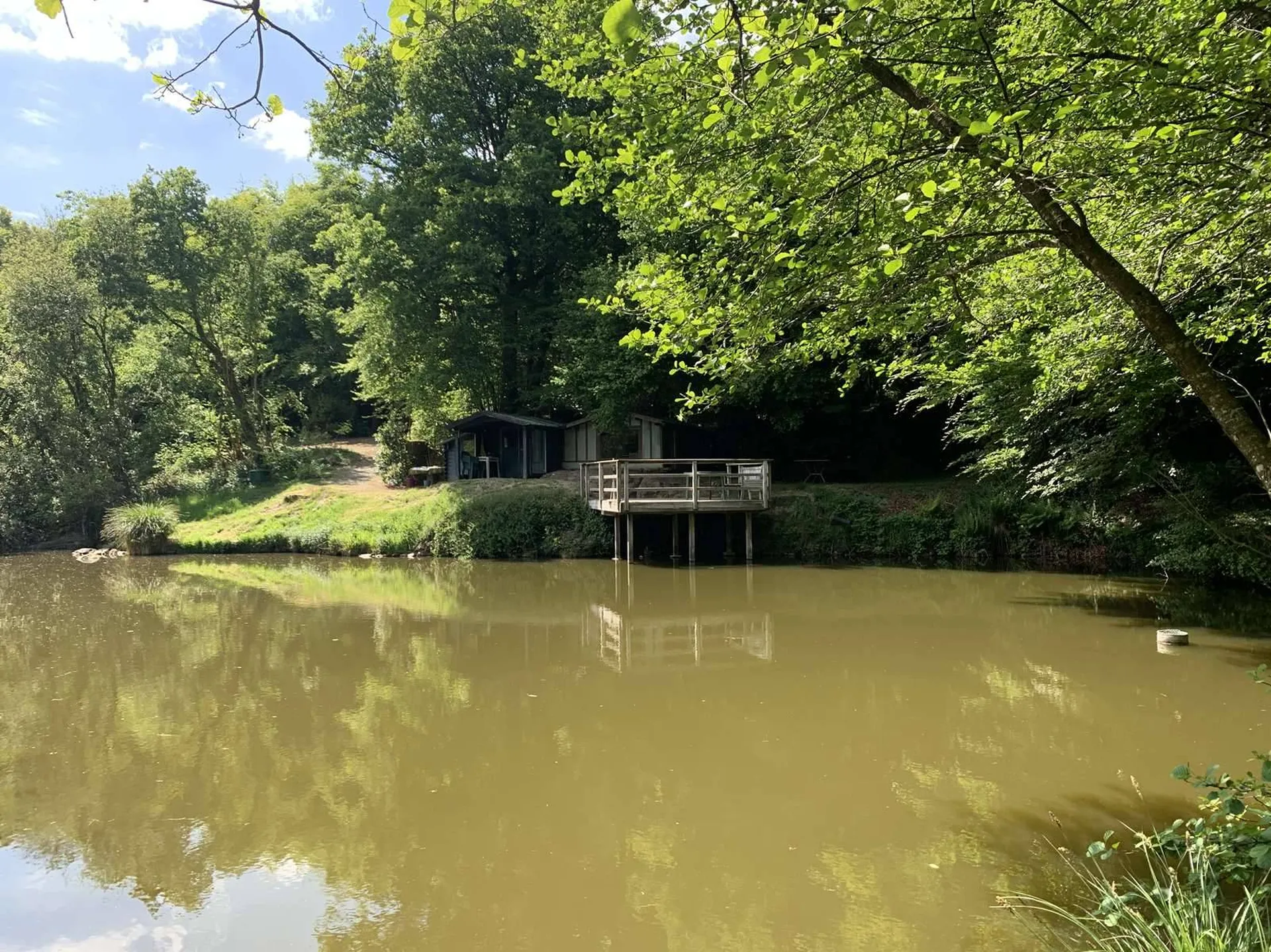 CALVADOS Région de VIRE (14500) propriété forestière de 18 ha 50 a avec des étangs