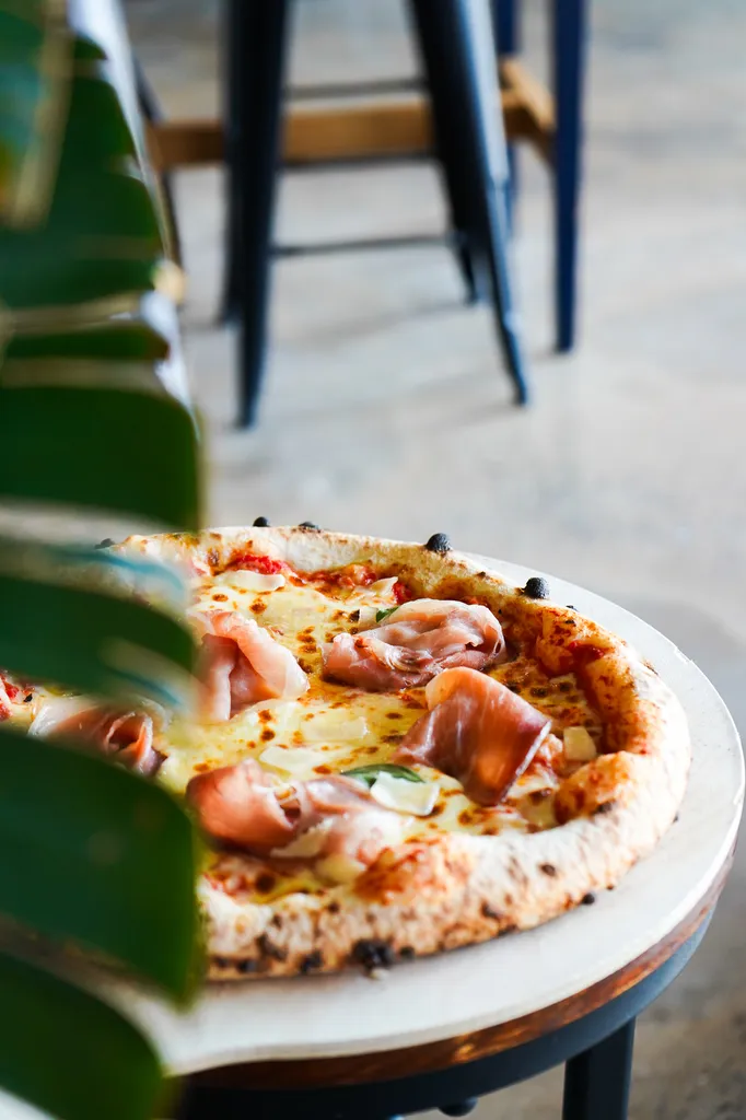 Nullam facilisis massa primis praesent ligula gravida