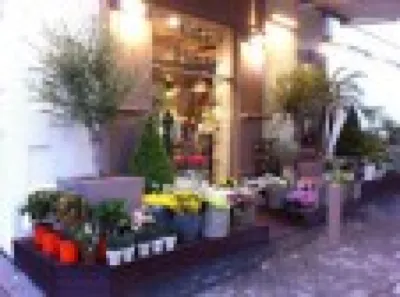 Fleuriste Marseille 13007 coté fleurs marseille, centre ville 13007, marseille 13013, marseille 13008 bijouterie l'echoppe d'or