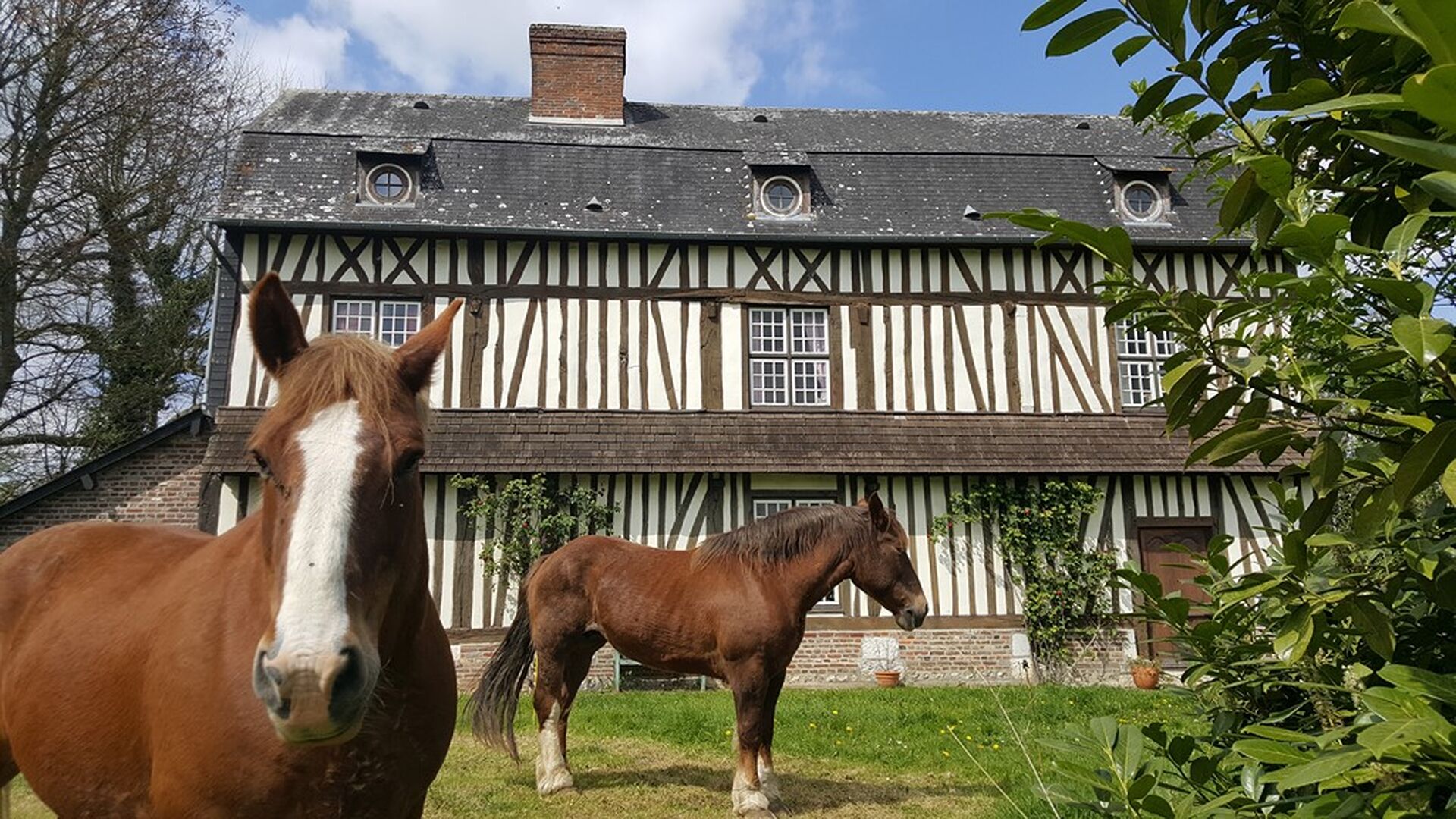 A vendre ancien manoir avec une superficie habitable d'environ 171 m² , une dépendance à renover.