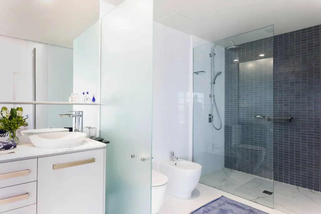 remplacement baignoire par douche senior