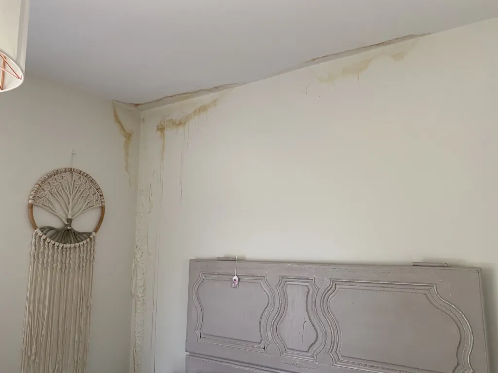 Intervention en urgence pour une recherche de fuite suite à un dégât des eaux à Orléans dans le 45