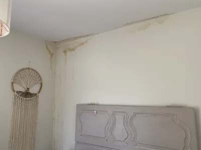 Intervention en urgence pour une recherche de fuite suite à un dégât des eaux à Orléans dans le 45