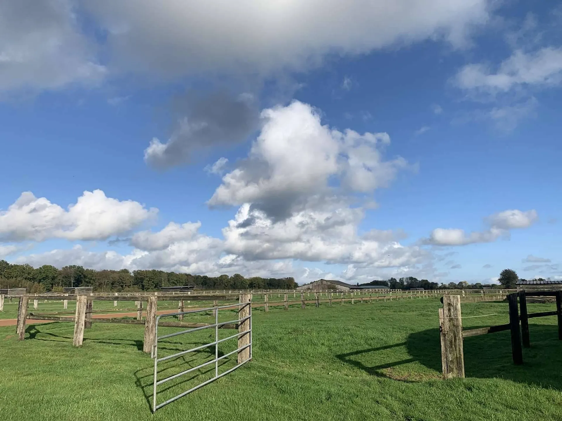 En vente, structure équestre actuellement dédiée à l'entrainement de chevaux trotteurs
