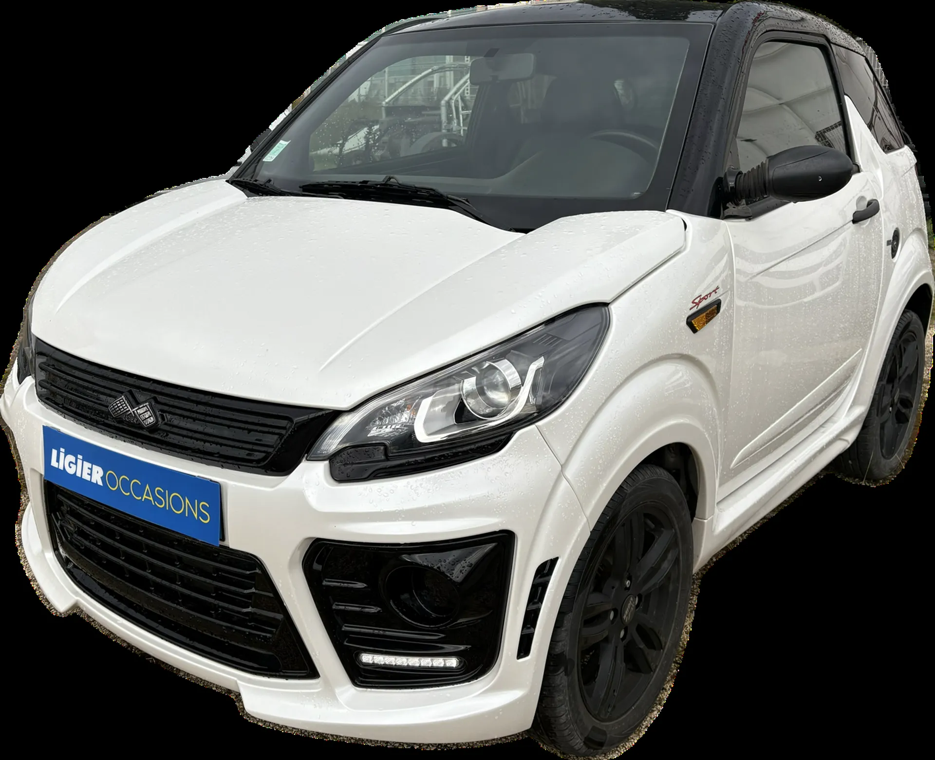 Voiture sans permis d'occasion Ligier Carry le Rouet