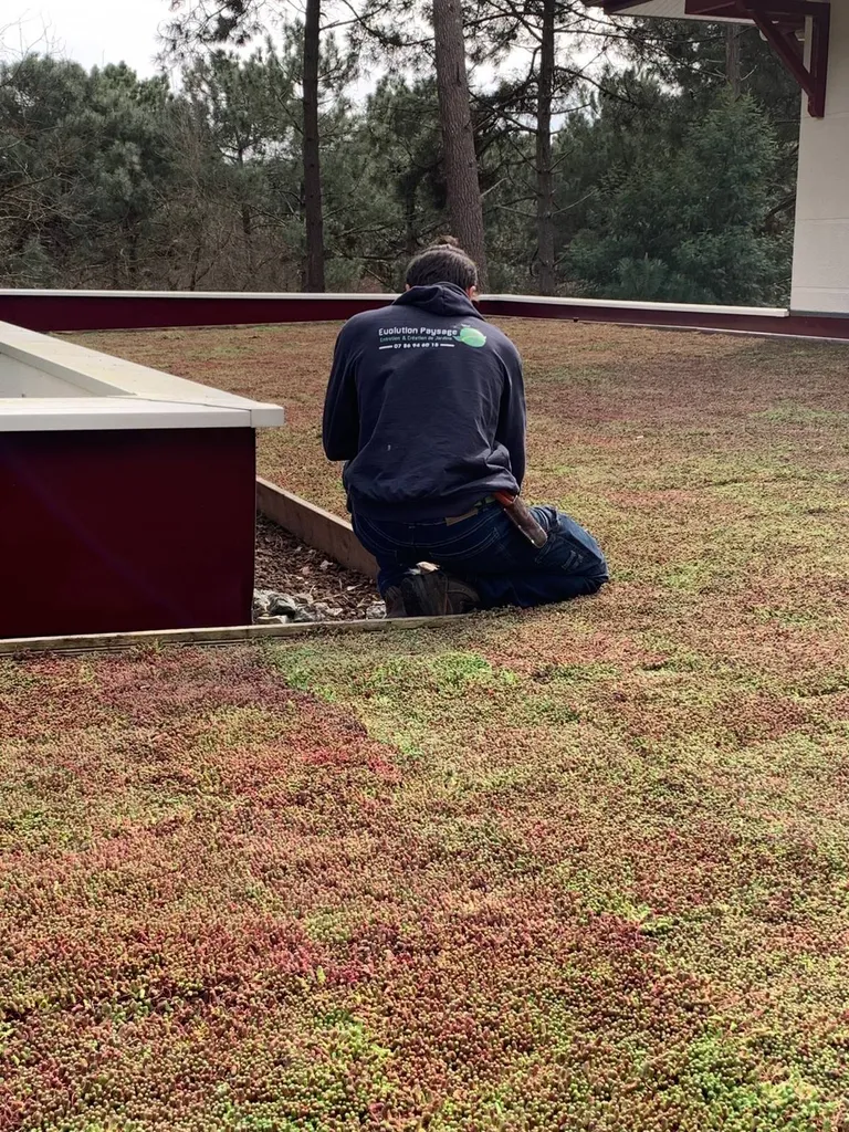 Un professionnel installe chez vous une toiture végétalisée près de Mimizan