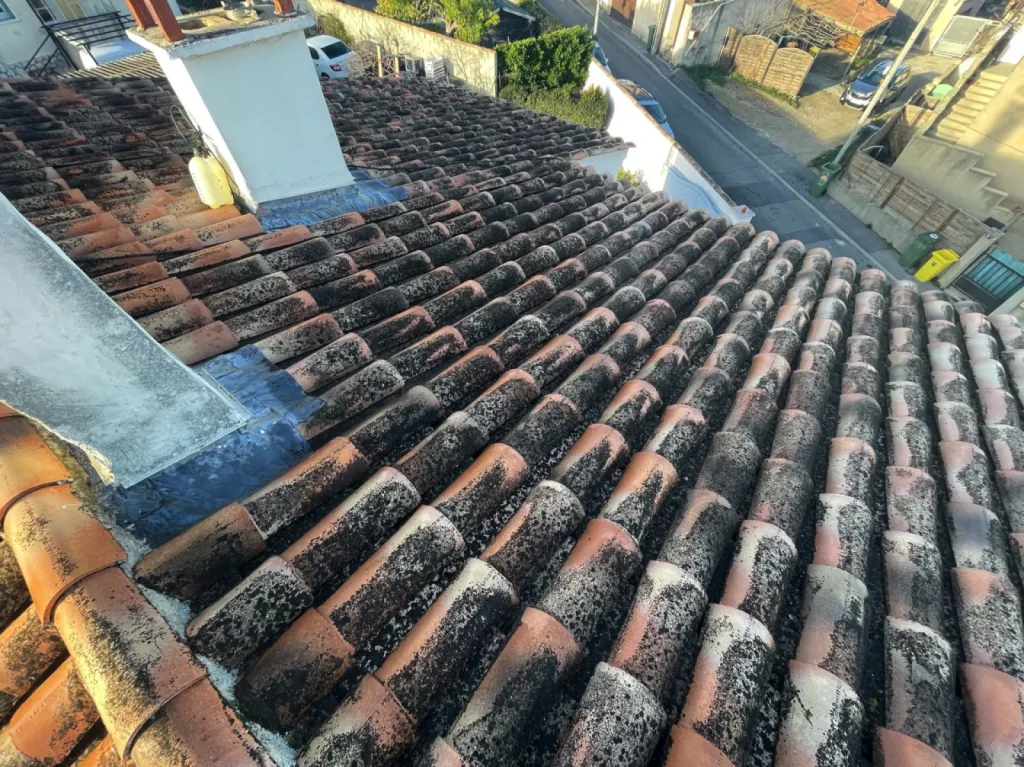 Intervention de couvreur pour un nettoyage de tuiles de toiture de maison près de Martigues 