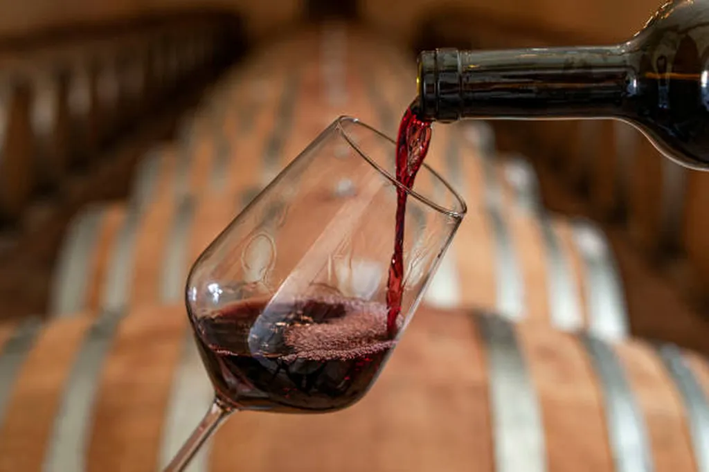 Dégustation de vins italiens et étrangers à Bordeaux : voyagez à travers le verre en découvrant des appellations très surprenantes