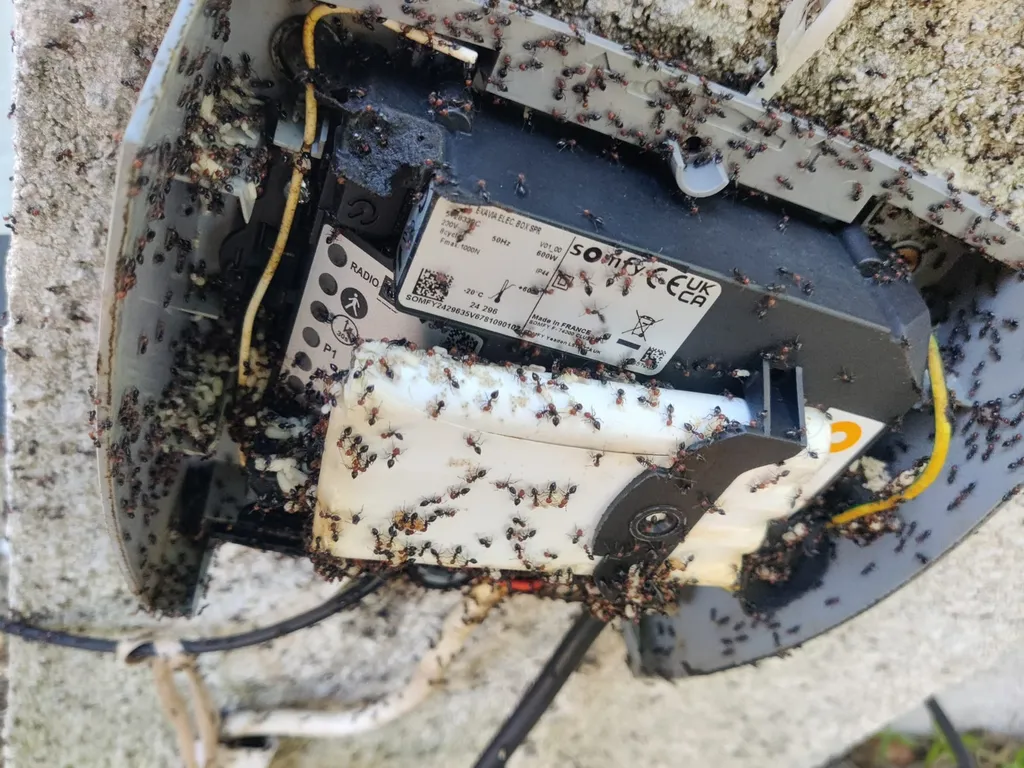 Traitement contre les fourmis pour se débarrasser d'un nid dans le cache du moteur d'un portail électrique à Saint-Priest