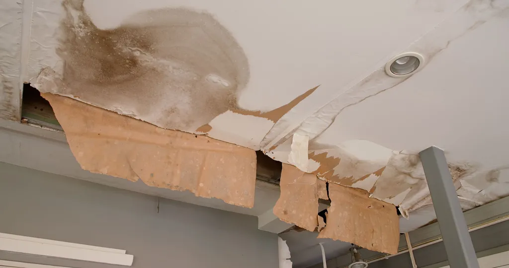 Remise en état de l’appartement par une entreprise de nettoyage, après dégât des eaux à Fos-sur-Mer