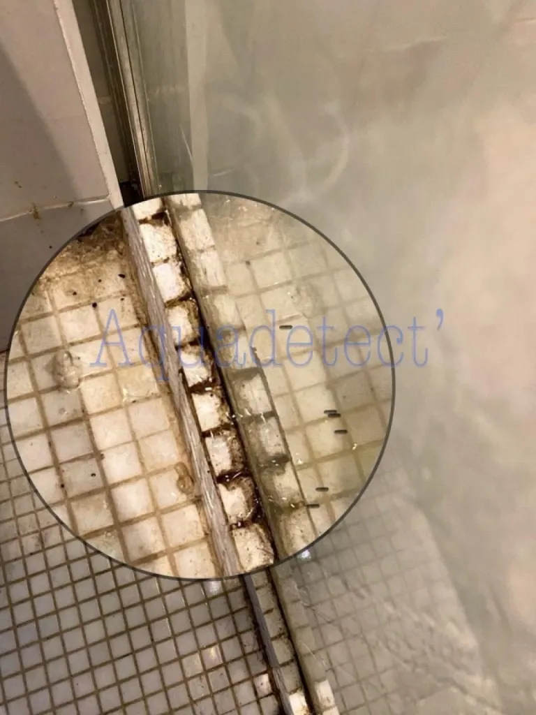 Test étanchéité au niveau de la douche dans l'appartement