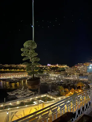 Plantations avec grue sur la terrasse de l'hôtel Hermitage à Monaco