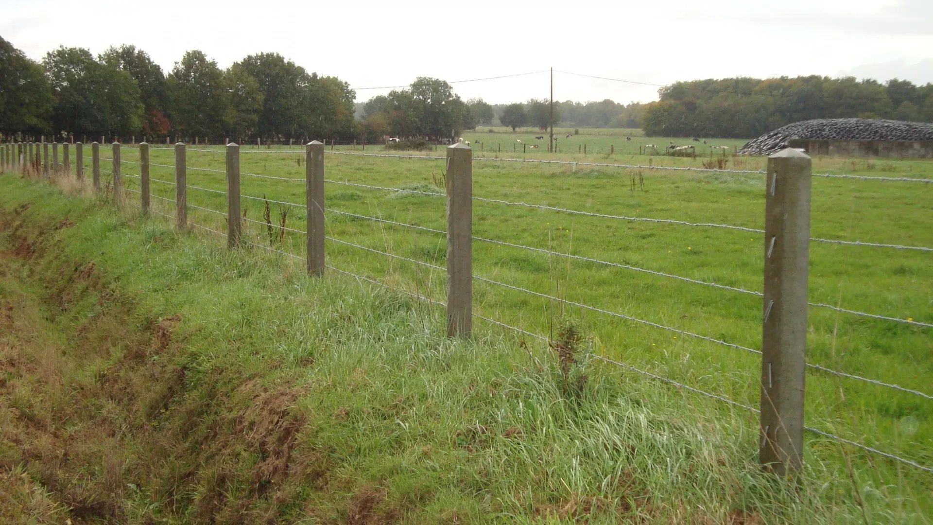 Installation de clôture herbagère béton dans le Calvados 14