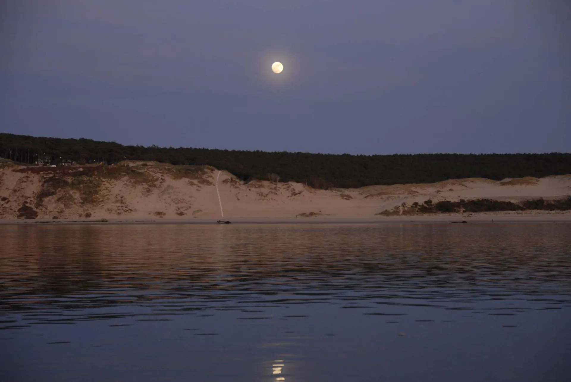 Bateau taxi en semi rigide de nuit 