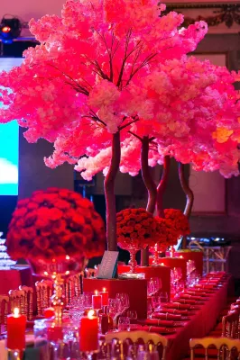 wedding planner pavillon cambon