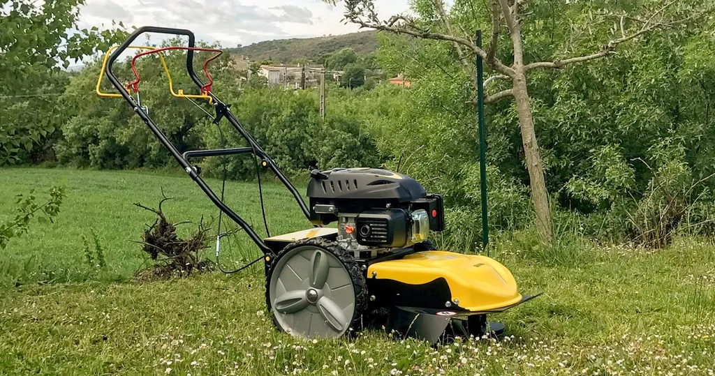 Nos prestations sur le secteur deprès de Six-Fours-les-Plages et de La Seyne-sur-Mer 83