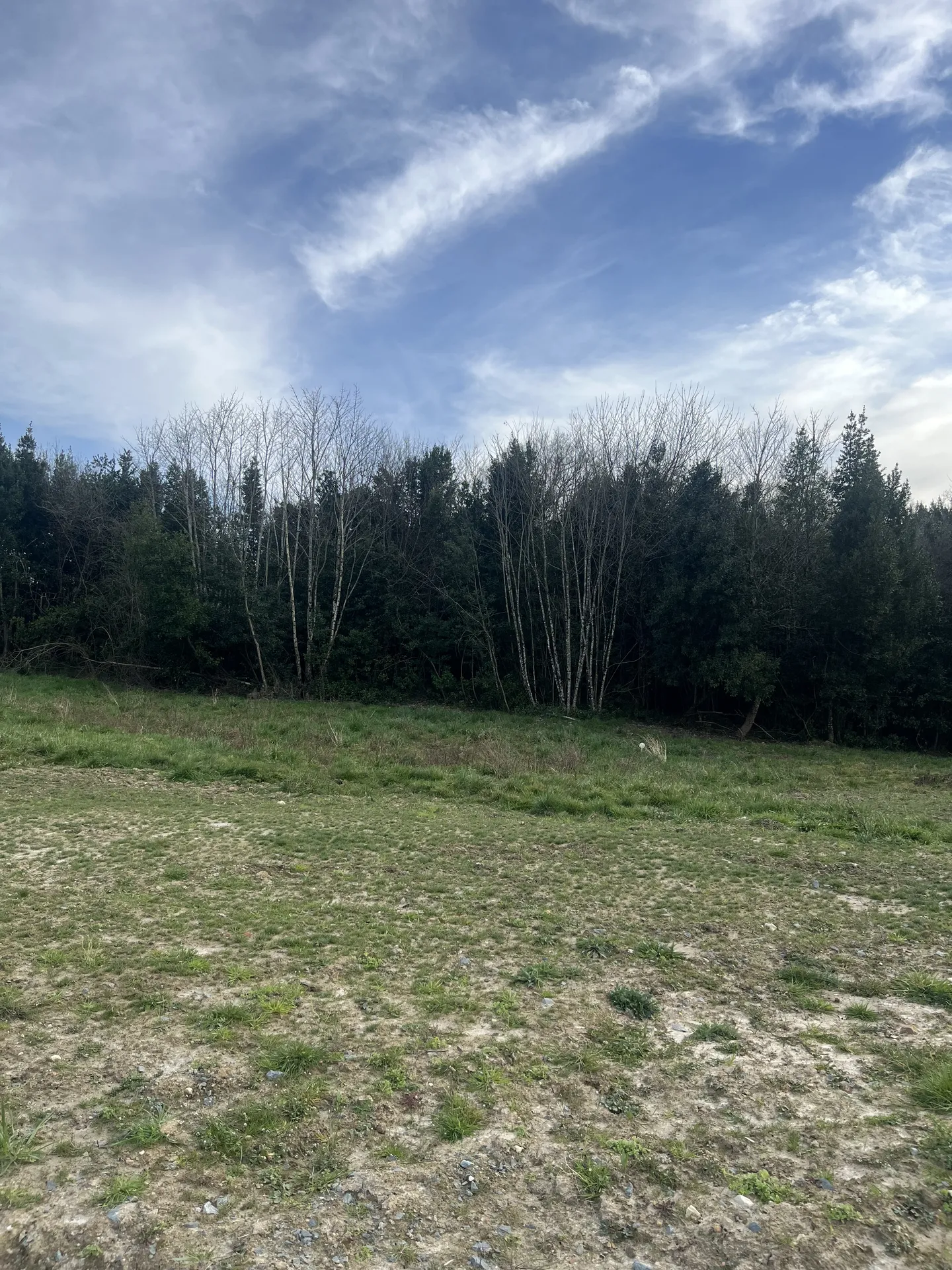 Terrain à bâtir viabilisé de 982 m² sur Sadirac, proche de Créon et de ses commerces et commodités