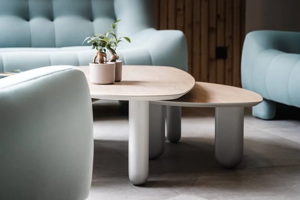 table de salon modulable plateau bois à toulon