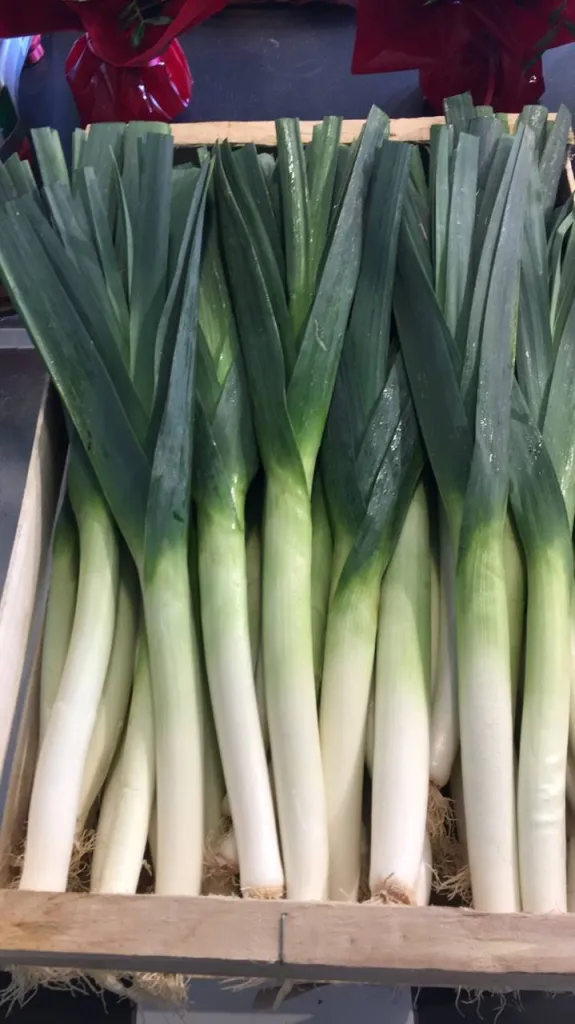 Poireaux de Provence disponible au magasin d'Eguilles