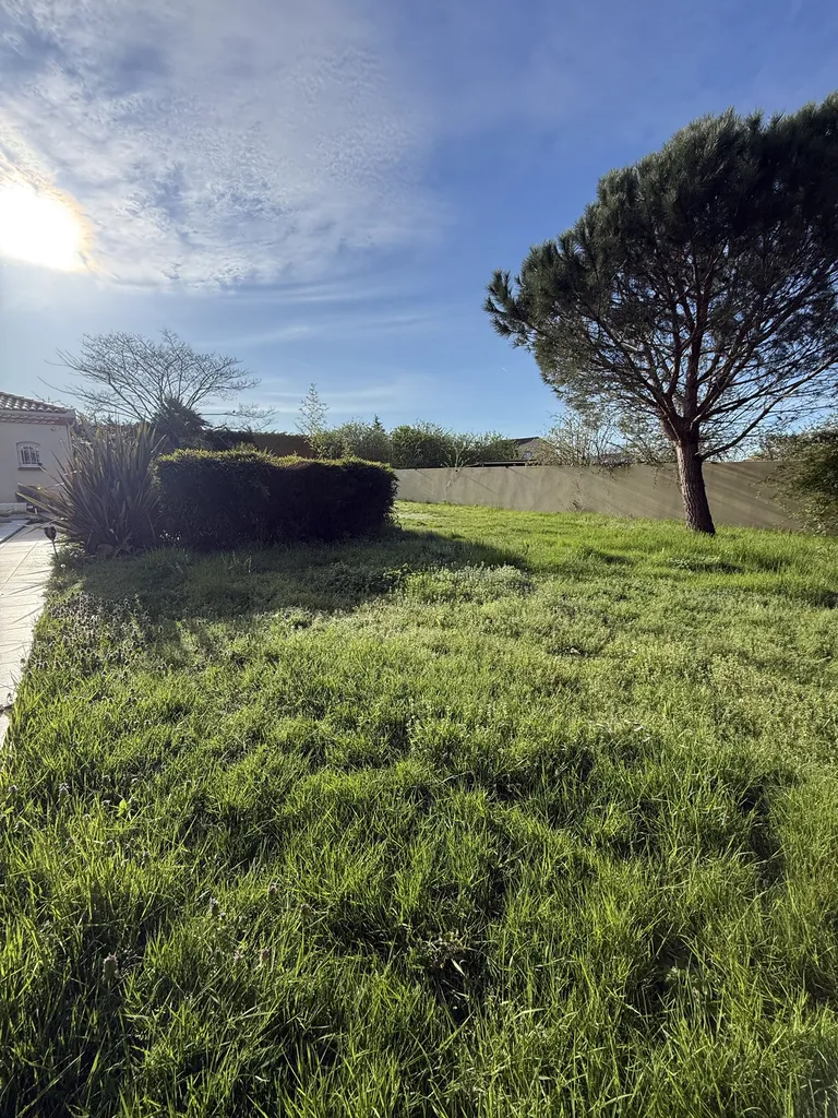 Remise en état complète de jardin à Muret près de Toulouse : entretien espaces verts, taille de haies, tonte, désherbage et élagage professionnel