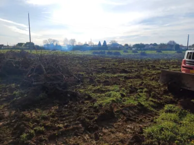 ARRACHAGE DES PIEDS DE VIGNES DANS LES VIGNOBLES DE PESSAC LEOGNAN