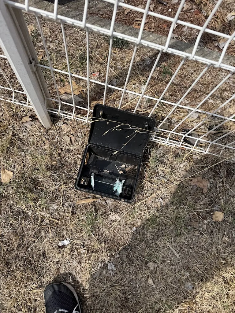 Service complet anti-nuisibles pour les collectivités à Toulouse, éliminant rats, souris, cafards et punaises de lit efficacement