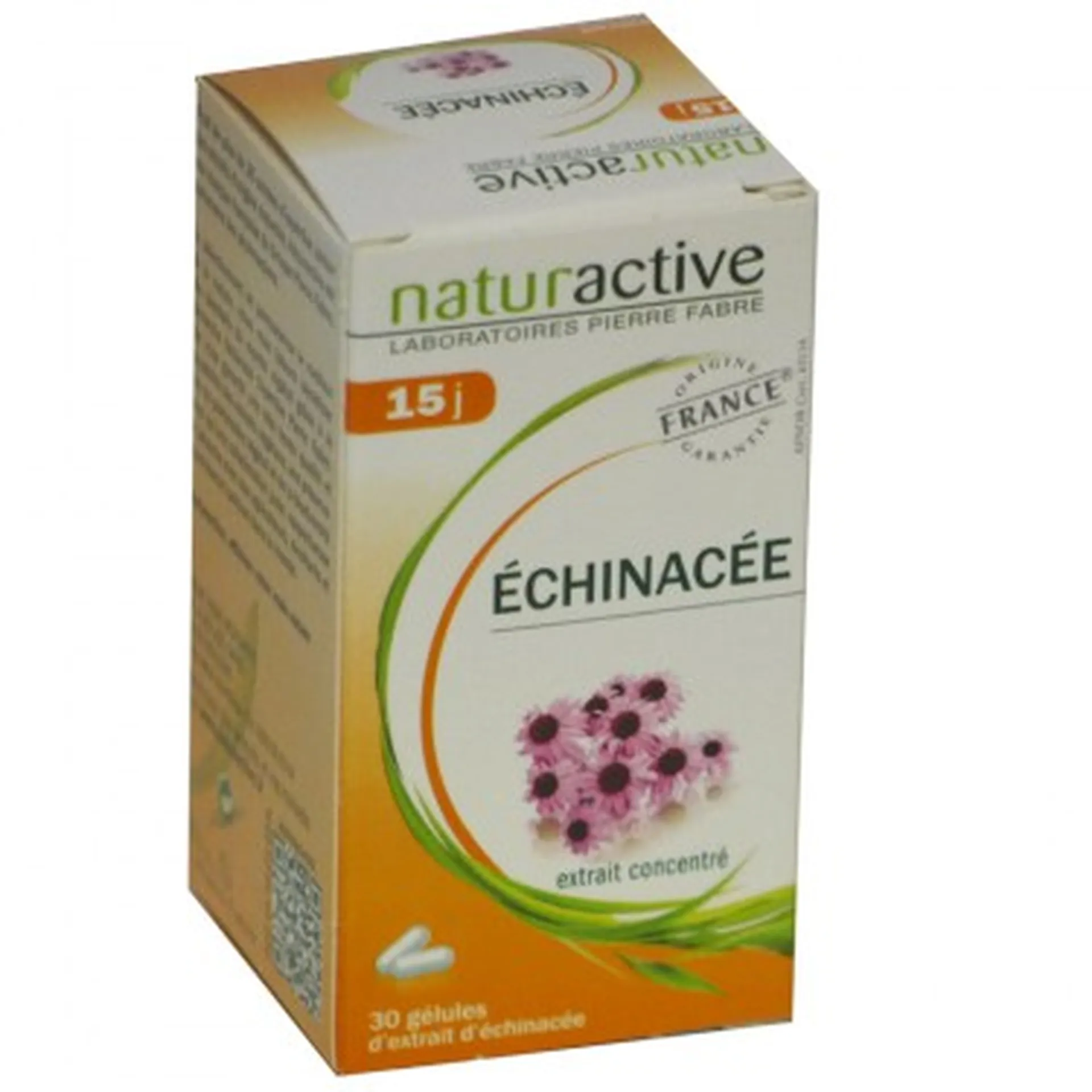 echinacée elusane naturactive