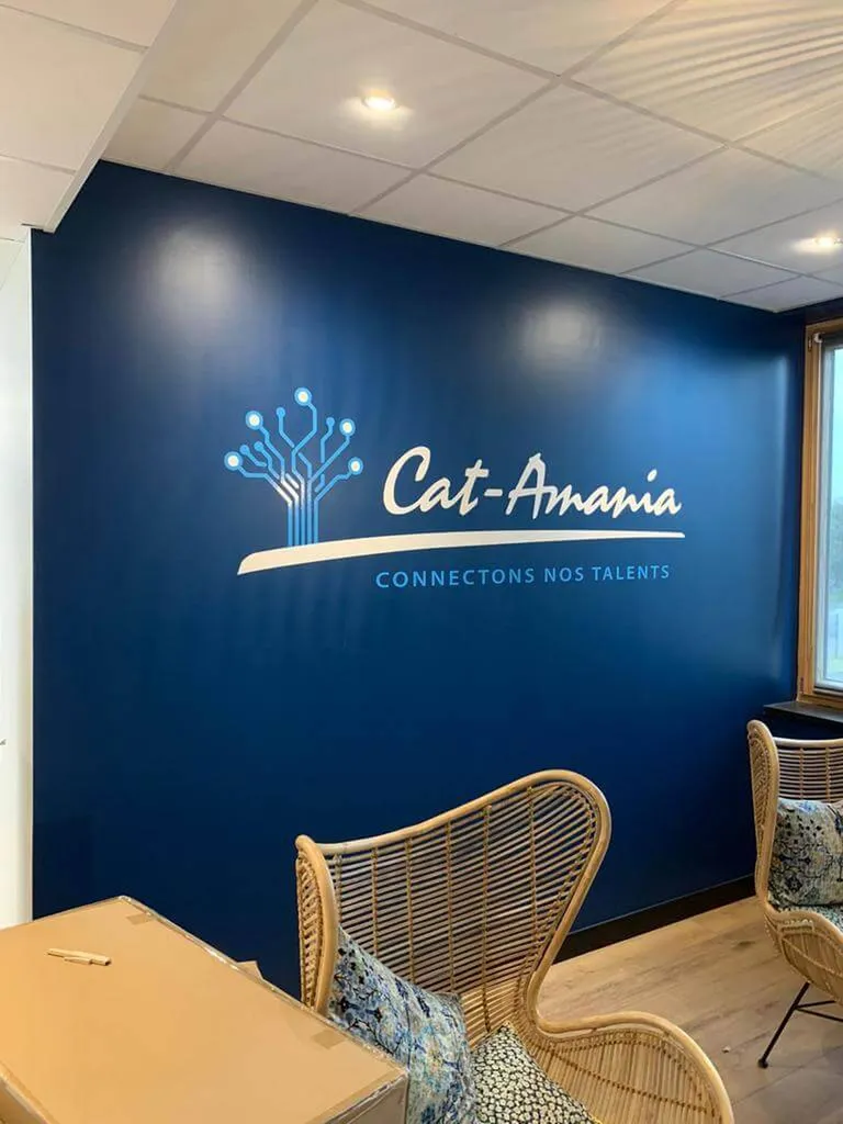 tdc-lettre-decoup-adhesif-cat-amania-hauts-de-france