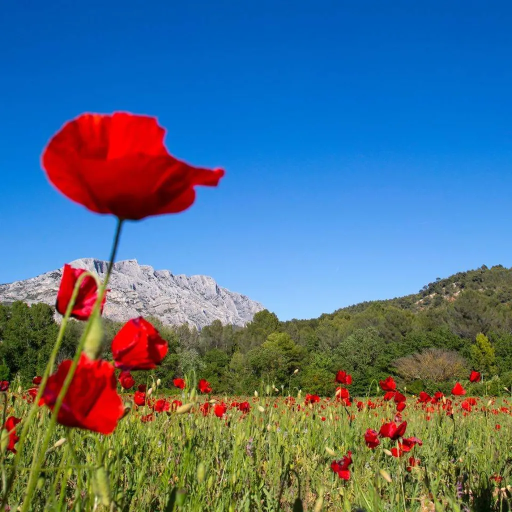 Réserver votre véhicule pour un transfert Aix en provence- Marseille