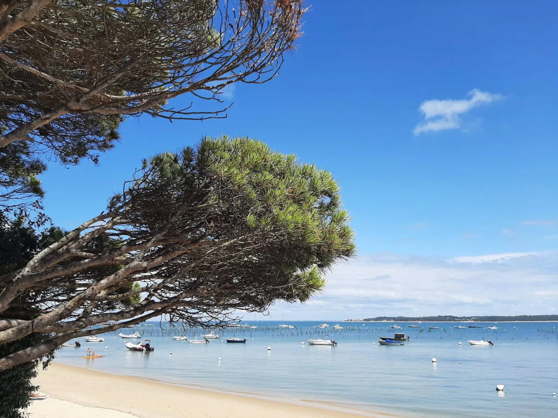 Meilleur bateau école pour passer le permis bateau à Arcachon