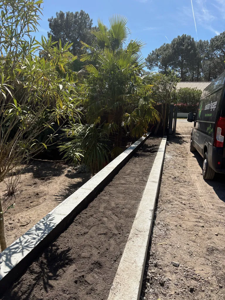 Création d’un brise vue végétal à Biscarrosse dans les Landes